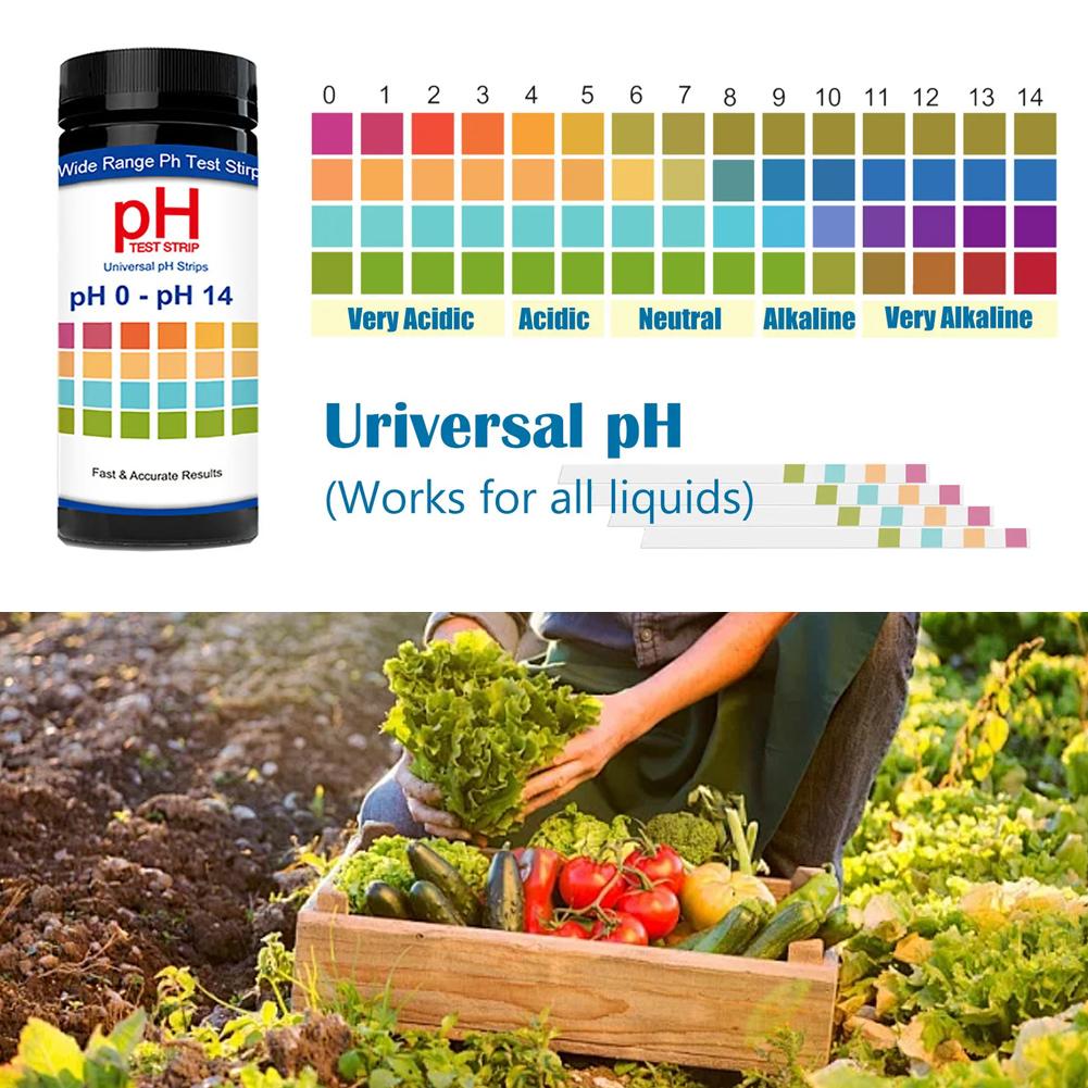 100 Pieces Multipurpose Chlori - Ph Strip Test 评论和价格