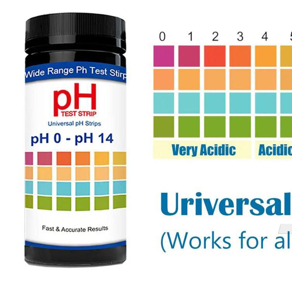 100 Pieces Multipurpose Chlori - Ph Strip Test 评论和价格