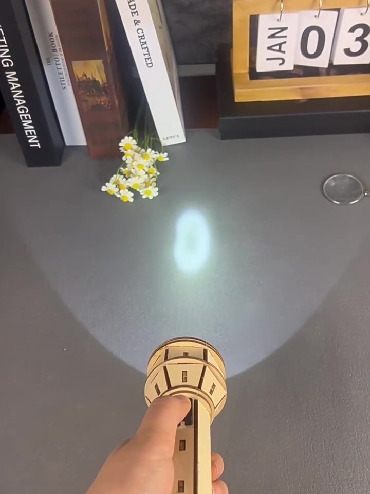 Wooden DIY Flashlight Puzzle K - Science Project 评论和价格