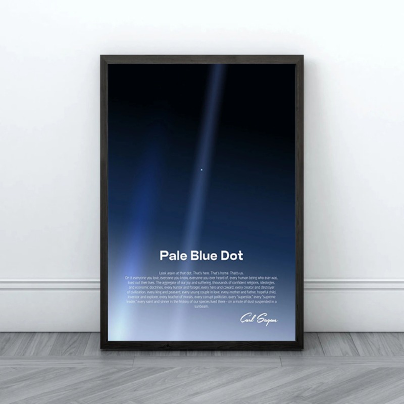 Pale Blue Dot Print Poster Voy - Star Map Poster 评论和价格