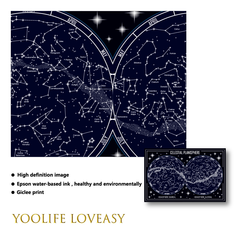Celestial Planisphere Map Canv - Star Map Poster 评论和价格